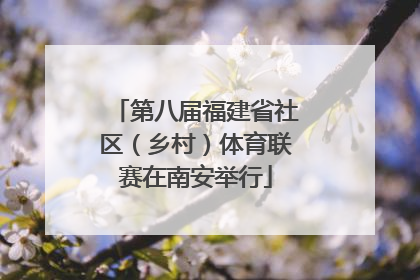 第八届福建省社区（乡村）体育联赛在南安举行