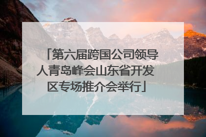 第六届跨国公司领导人青岛峰会山东省开发区专场推介会举行