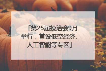 第25届投洽会9月举行，首设低空经济、人工智能等专区