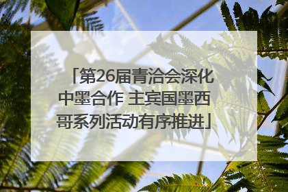 第26届青洽会深化中墨合作 主宾国墨西哥系列活动有序推进