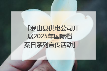 罗山县供电公司开展2025年国际档案日系列宣传活动