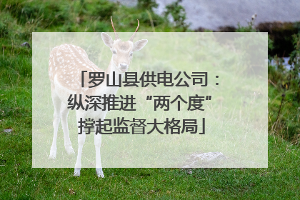 罗山县供电公司：纵深推进“两个度” 撑起监督大格局