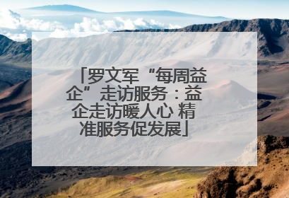 罗文军“每周益企”走访服务：益企走访暖人心 精准服务促发展