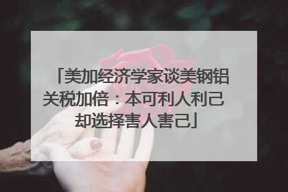 美加经济学家谈美钢铝关税加倍：本可利人利己 却选择害人害己