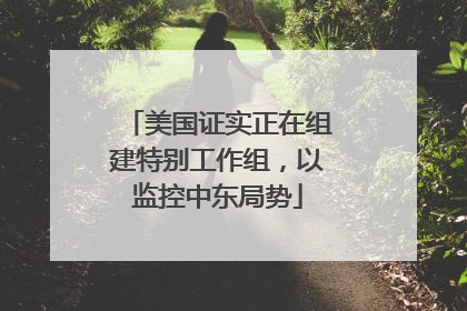 美国证实正在组建特别工作组，以监控中东局势
