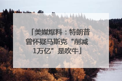美媒爆料：特朗普曾怀疑马斯克“削减1万亿”是吹牛