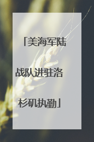 美海军陆战队进驻洛杉矶执勤