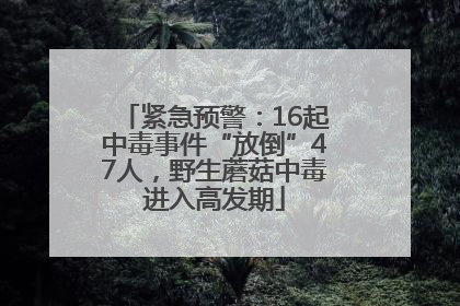 紧急预警：16起中毒事件“放倒”47人，野生蘑菇中毒进入高发期