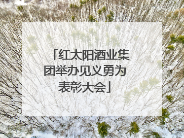 红太阳酒业集团举办见义勇为表彰大会