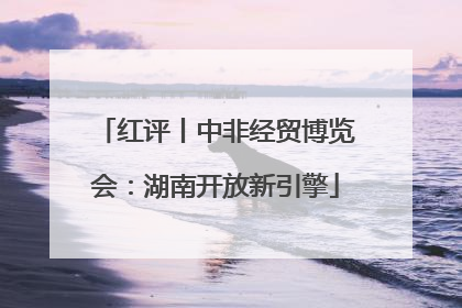红评丨中非经贸博览会：湖南开放新引擎
