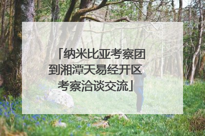 纳米比亚考察团到湘潭天易经开区考察洽谈交流
