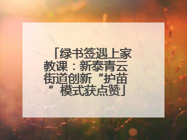 绿书签遇上家教课：新泰青云街道创新“护苗”模式获点赞