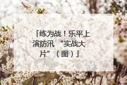 练为战！乐平上演防汛 “实战大片”（图）