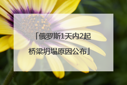 俄罗斯1天内2起桥梁坍塌原因公布