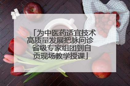 为中医药适宜技术高质量发展把脉问诊 省级专家组团到自贡现场教学授课