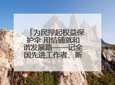 为民撑起权益保护伞 用情铺就和谐发展路——记全国先进工作者、新区项目建设中心干部卢小勇