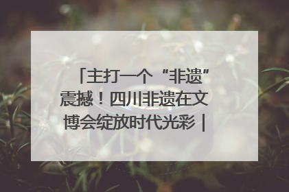 主打一个“非遗”震撼！四川非遗在文博会绽放时代光彩｜文博向“新”