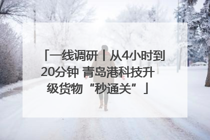 一线调研丨从4小时到20分钟 青岛港科技升级货物“秒通关”