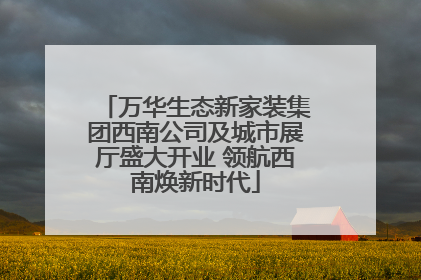 万华生态新家装集团西南公司及城市展厅盛大开业 领航西南焕新时代