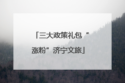 三大政策礼包“涨粉”济宁文旅