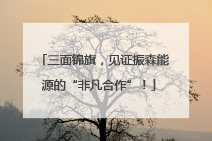 三面锦旗，见证振森能源的“非凡合作”！
