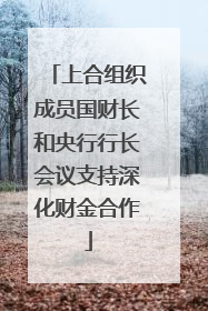 上合组织成员国财长和央行行长会议支持深化财金合作