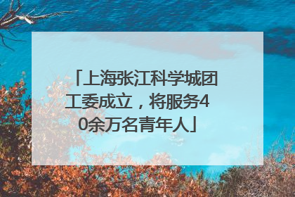 上海张江科学城团工委成立，将服务40余万名青年人