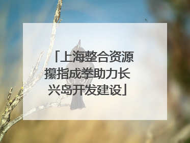 上海整合资源攥指成拳助力长兴岛开发建设