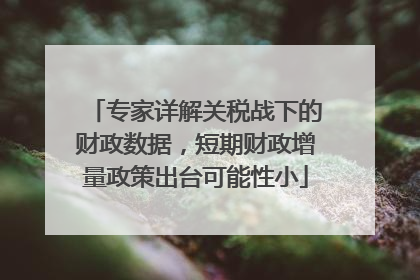 专家详解关税战下的财政数据，短期财政增量政策出台可能性小