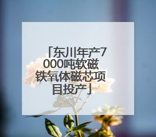 东川年产7000吨软磁铁氧体磁芯项目投产