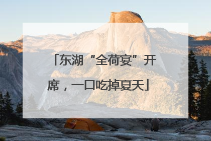 东湖“全荷宴”开席，一口吃掉夏天