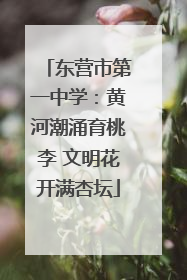 东营市第一中学：黄河潮涌育桃李 文明花开满杏坛