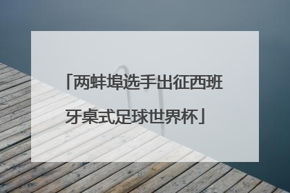 两蚌埠选手出征西班牙桌式足球世界杯