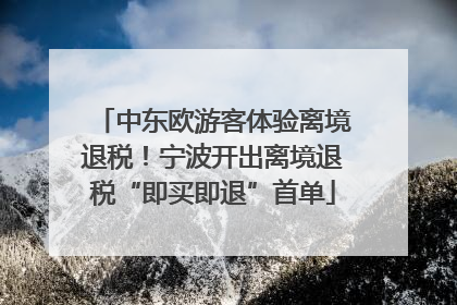 中东欧游客体验离境退税！宁波开出离境退税“即买即退”首单