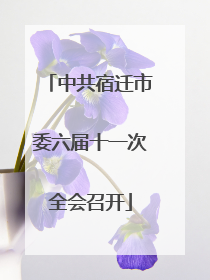 中共宿迁市委六届十一次全会召开
