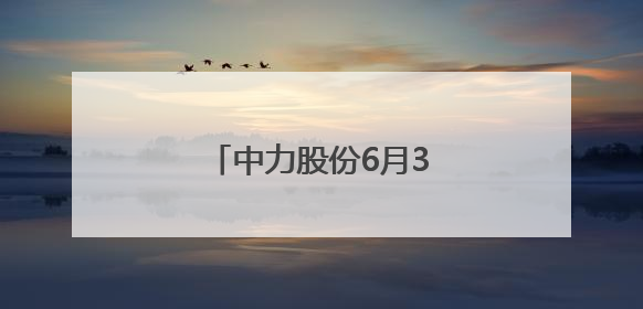 中力股份6月3日龙虎榜数据