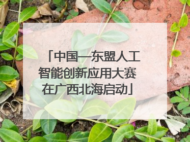 中国—东盟人工智能创新应用大赛在广西北海启动