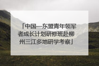 中国—东盟青年领军者成长计划研修班赴柳州三江多地研学考察