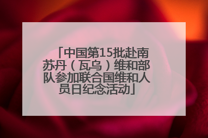 中国第15批赴南苏丹（瓦乌）维和部队参加联合国维和人员日纪念活动
