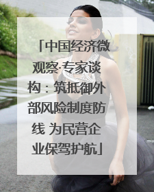 中国经济微观察·专家谈构：筑抵御外部风险制度防线 为民营企业保驾护航