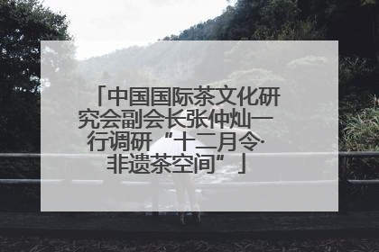 中国国际茶文化研究会副会长张仲灿一行调研“十二月令·非遗茶空间”