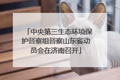 中央第三生态环境保护督察组督察山东省动员会在济南召开