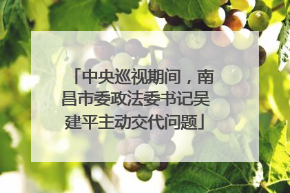 中央巡视期间，南昌市委政法委书记吴建平主动交代问题