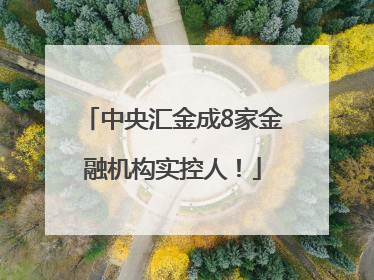 中央汇金成8家金融机构实控人！