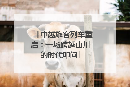 中越旅客列车重启：一场跨越山川的时代叩问