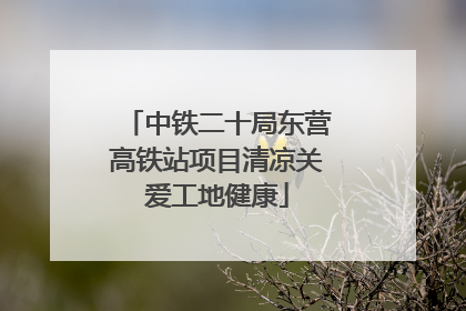 中铁二十局东营高铁站项目清凉关爱工地健康