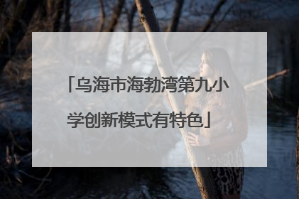 乌海市海勃湾第九小学创新模式有特色