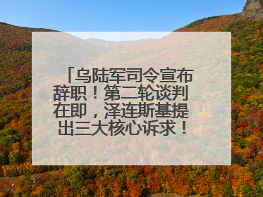 乌陆军司令宣布辞职！第二轮谈判在即，泽连斯基提出三大核心诉求！乌方透露摧毁41架俄战略轰炸机
