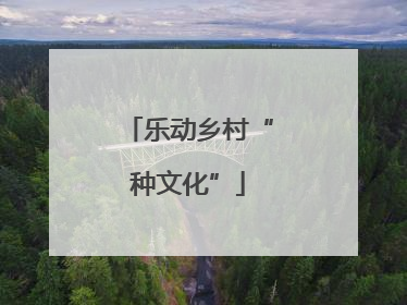 乐动乡村“种文化”