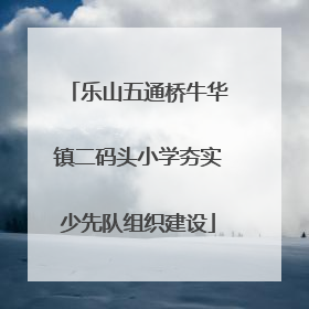 乐山五通桥牛华镇二码头小学夯实少先队组织建设